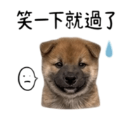 855776694
