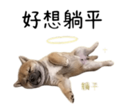 855776698
