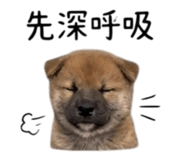 855776699