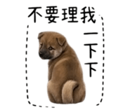 855776702