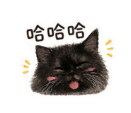 855776941