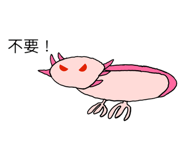 855778010