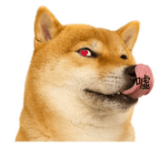 855778118