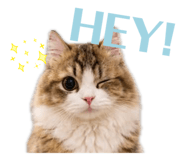855779144