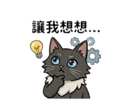 855779381