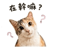 855780974