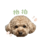 855781135