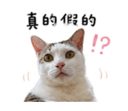 855781730