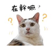 855781734
