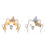 855782421