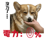 855783419