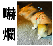 855783424
