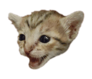 855783720