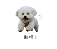 855784347