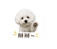 855784355