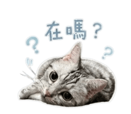 855785122