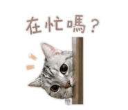 855785132
