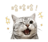 855785134
