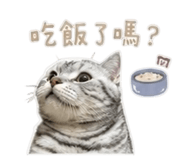 855785137