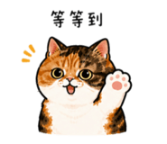 855786134