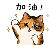 855786141
