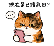 855786153