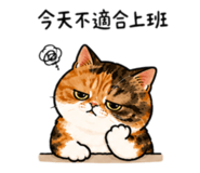855786158