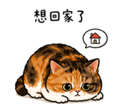 855786159
