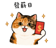 855786167