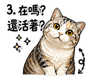 855786579