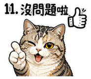 855786587
