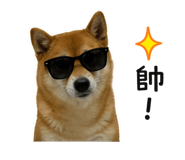 855787089