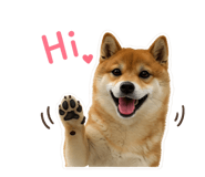855787093