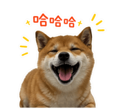 855787095