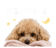 855788397