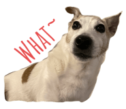 855789128