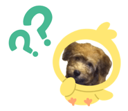 855789135