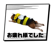 855789136
