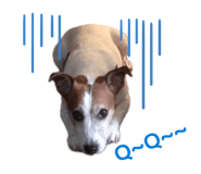 855789137