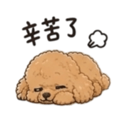855789776