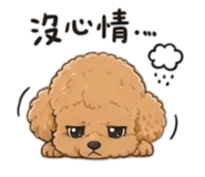 855789785