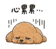 855789792