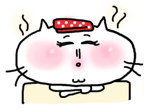 85579