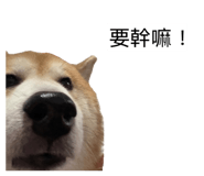 855793465