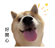 855793466