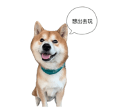 855793468