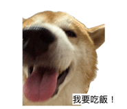 855793471