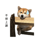 855793472