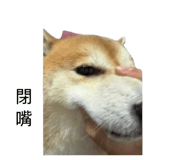 855793473