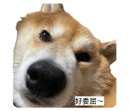 855793475